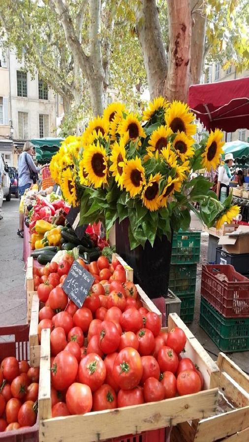 Sunny Apartment With Nice View In History City Center Aix-en-Provence Ngoại thất bức ảnh
